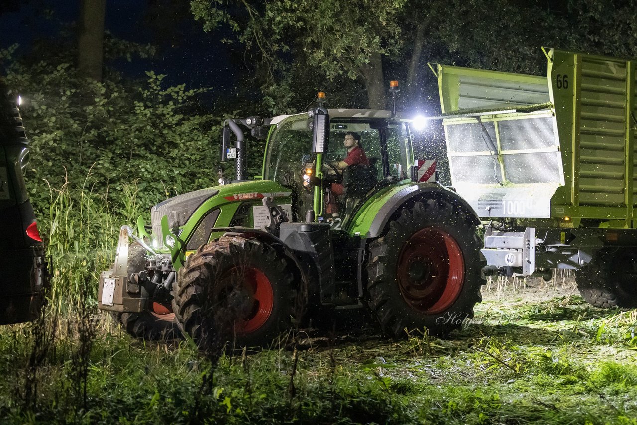 Bild 10 - Maisernte